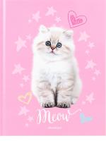 Дневник твердый Caligrata 5-11кл "Котик 4698424