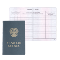 Бланк Трудовая книжка VII серия образца 2023г