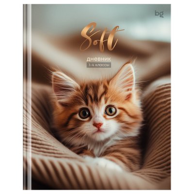 Дневник твердый БГ 1-4кл "мягкий" 64740