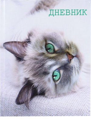 Дневник твердый Caligrata 5-11кл "кошка 2967475